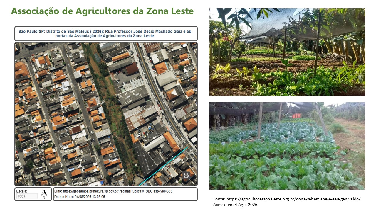 Foto de Cultivos do Leste da Metrópole: Experiências e Práticas Agroecológicas das Hortas da Associação de Agricultores da Zona Leste no Distrito de São Mateus, São Paulo/SP (2026)