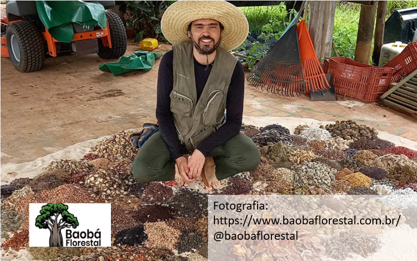 Foto de DIÁLOGOS - BAOBÁ FLORESTAL - Restauração Ecológica Inclusiva - Inclusão de populações tradicionais na restauração de ecossistemas brasileiros