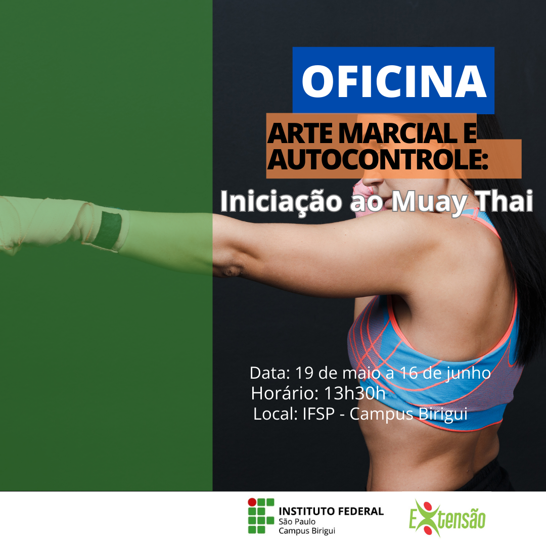 Foto de Arte Marcial e Autocontrole: Iniciação ao Muay Thai
