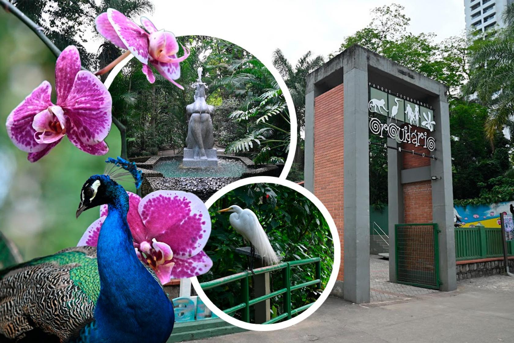 Foto de Visita Técnica - Orquidário Municipal de Santos