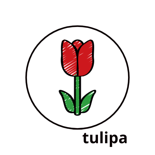 Foto de Encontro do grupo de Pesquisa Tulipa