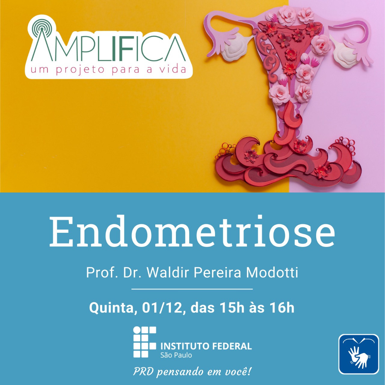 Foto de Endometriose